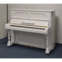 Occasion, Steinway & Sons, H-127