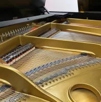 Używany, Steinway & Sons, M-170