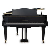 Usato, C. Bechstein, M 178