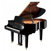 New, Yamaha, C2X