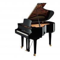 Nowy, Yamaha, S6X