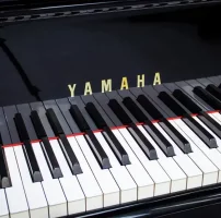 Usado, Yamaha, C7