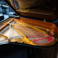 Used, Steinway & Sons, B-211