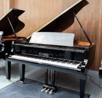 Nowy, Kawai, GL-50