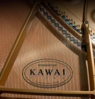 Nuovo, Kawai, E-300