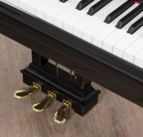 Används, Steinway & Sons, M-170