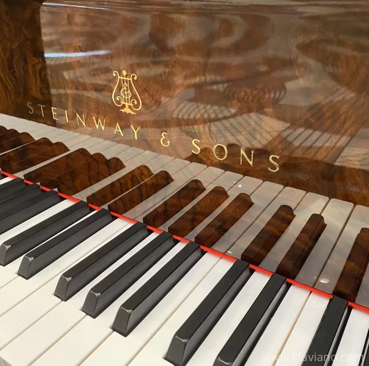 Used Steinway & Sons B-211 | Kalisz | Serial Number 146145 | Grand ...