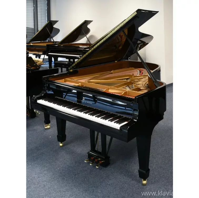 Occasion, Steinway & Sons, B-211