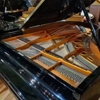 Usado, Bosendorfer, 200