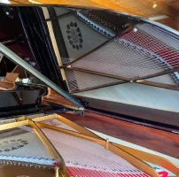 Used, Steinway & Sons, A-188