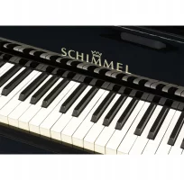 Gebraucht, Schimmel, SP 174