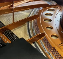 Bosendorfer 170vc mistrzowski fortepian 170 cm