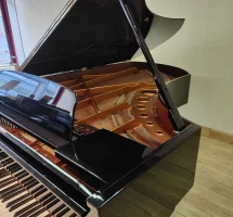 Gebraucht, Bösendorfer, 225