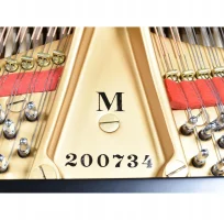 Gebraucht, Steinway & Sons, M-170