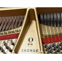 Używany, Steinway & Sons, O-180