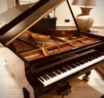 Steinway c 227 deals price