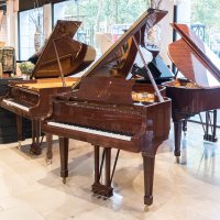 Gebraucht, Steinway & Sons, B-211