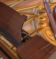 Usado, Steinway & Sons, B-211