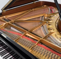 Używany, Steinway & Sons, B-211