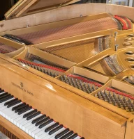 Gebraucht, Steinway & Sons, M-170