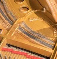 Używany, Steinway & Sons, M-170