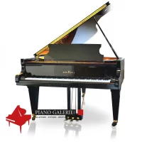 Used, Schimmel, C 213 Tradition