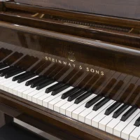 Usato, Steinway & Sons, B-211