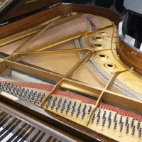 Usato, Steinway & Sons, B-211