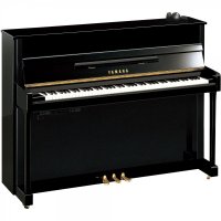 New, Yamaha, b2 SC2