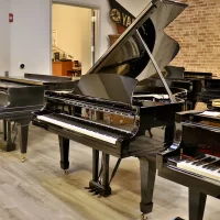 Används, Steinway & Sons, M-170