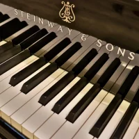 Används, Steinway & Sons, M-170