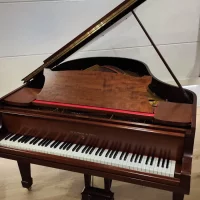 Używany, Steinway & Sons, M-170