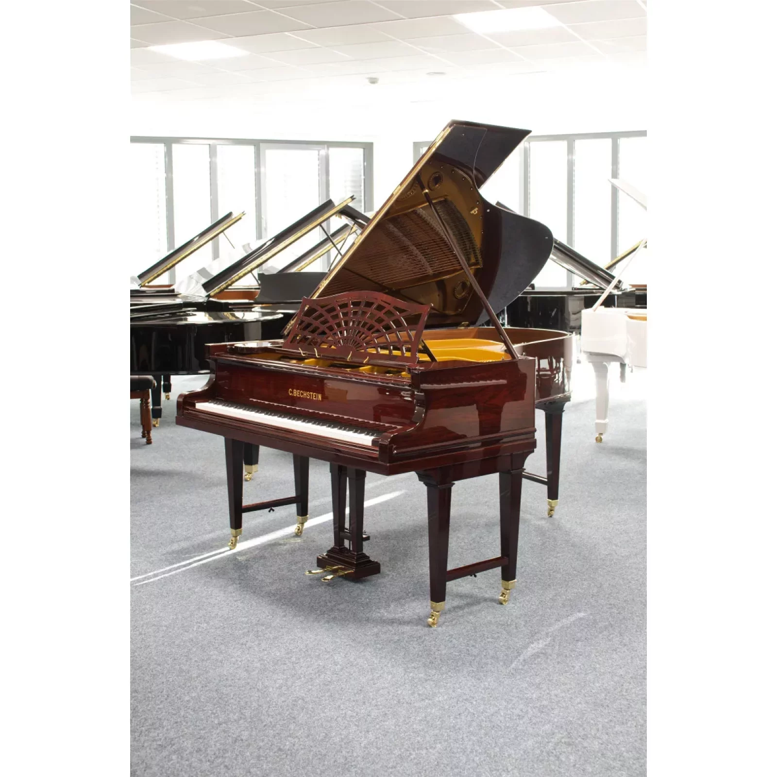 Används, C. Bechstein, V 200