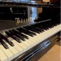 Bösendorfer 185