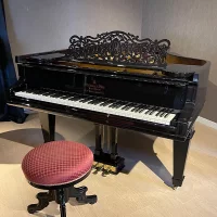 Używany, Steinway & Sons, B-211