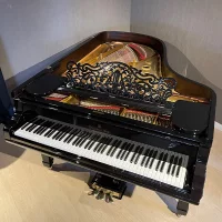 Usato, Steinway & Sons, B-211