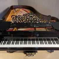 Używany, Steinway & Sons, B-211