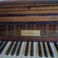 Used, Pleyel, Grand Patron (245)