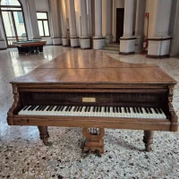 Used, Pleyel, Grand Patron (245)