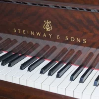 Usado, Steinway & Sons, O-180