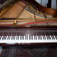 Usado, Steinway & Sons, O-180