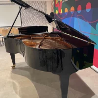 Used, Bosendorfer, 214