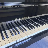 Gebraucht, Kawai, GE-30