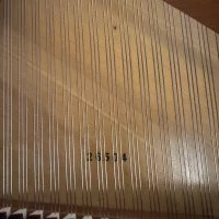 Occasion, Bosendorfer, 200