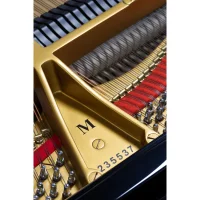 Usato, Steinway & Sons, M-170