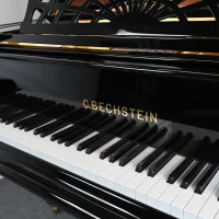 Usato, C. Bechstein, B 203