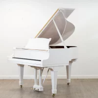 Usado, Steinway & Sons, S-155