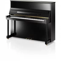 Nuevo, C. Bechstein, Classic 124