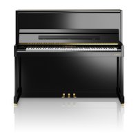 Nieuw, C. Bechstein, A6