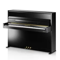 Nieuw, C. Bechstein, A2